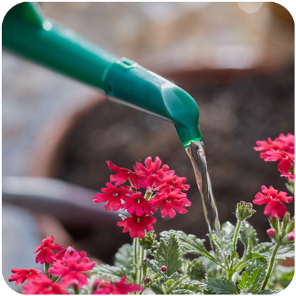 Swiss Made Watering Can 