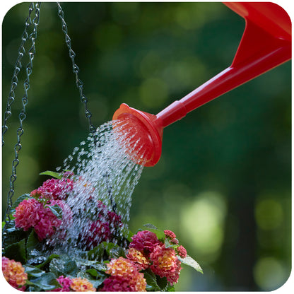 Swiss Made Watering Can 