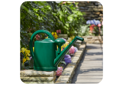 Swiss Made Watering Can 