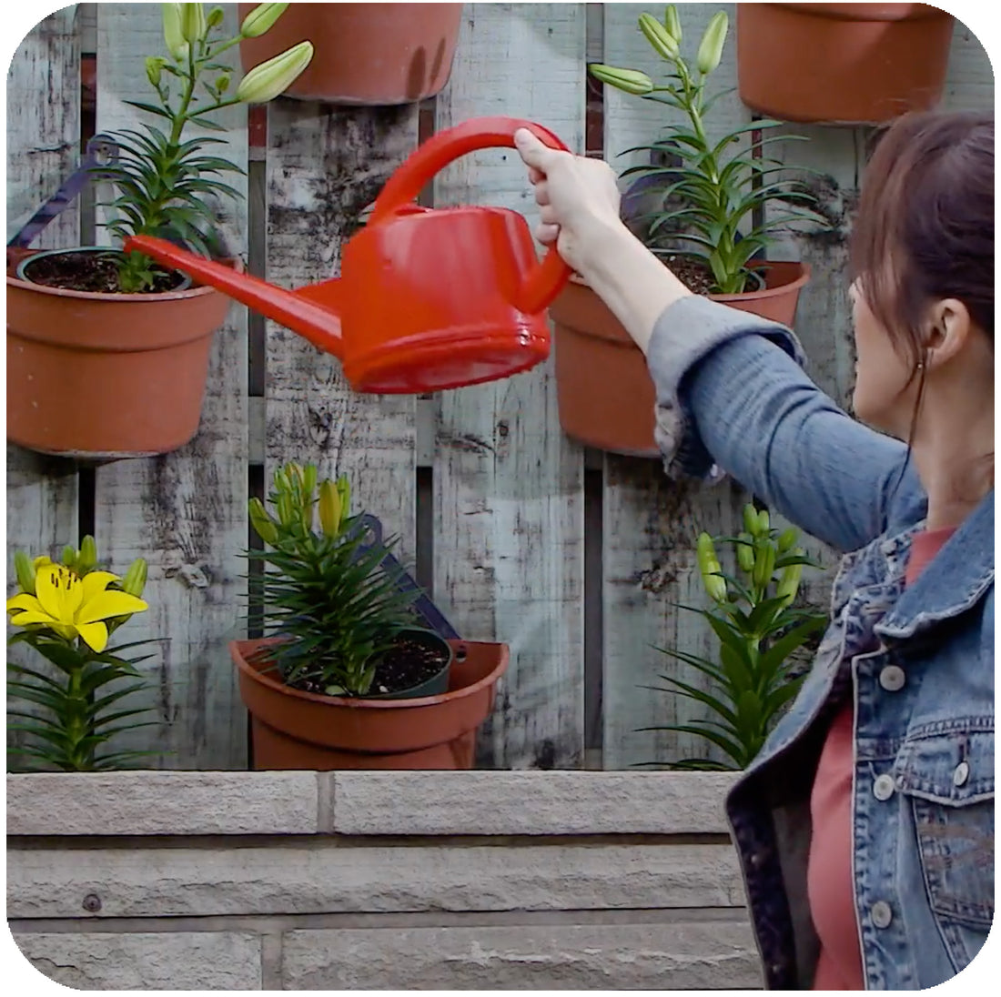 Swiss Made Watering Can 