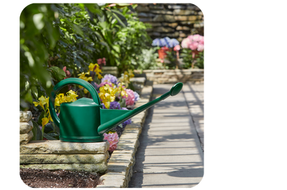 Swiss Made Watering Can 