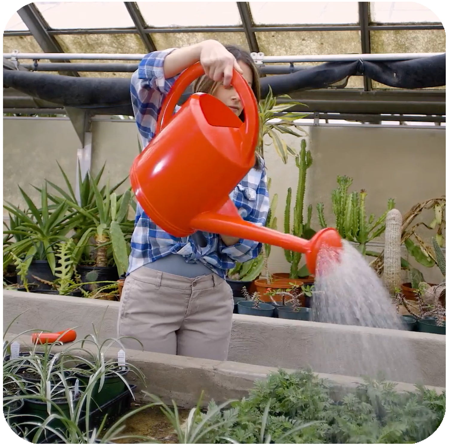 Swiss Made Watering Can 