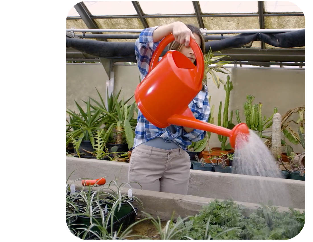 Swiss Made Watering Can 