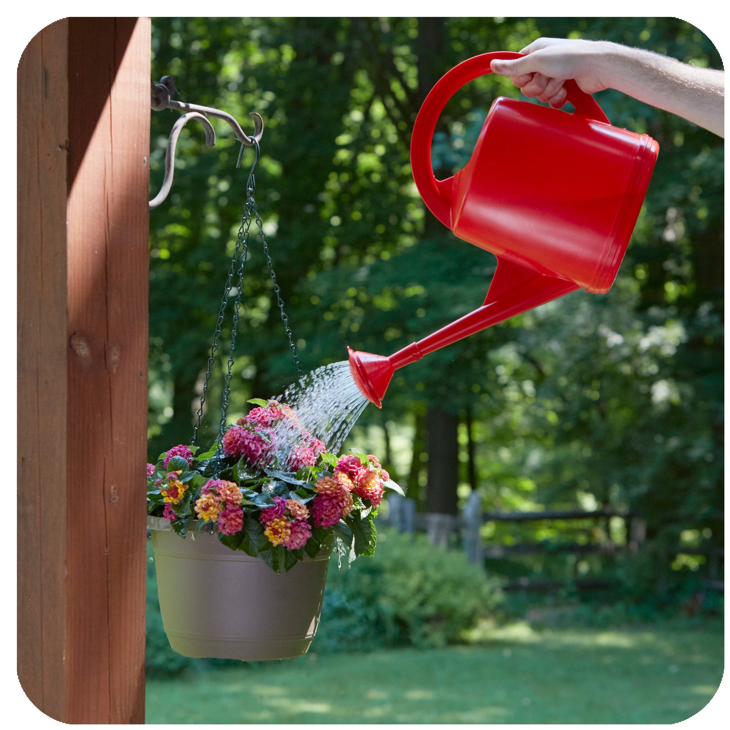 Swiss Made Watering Can 