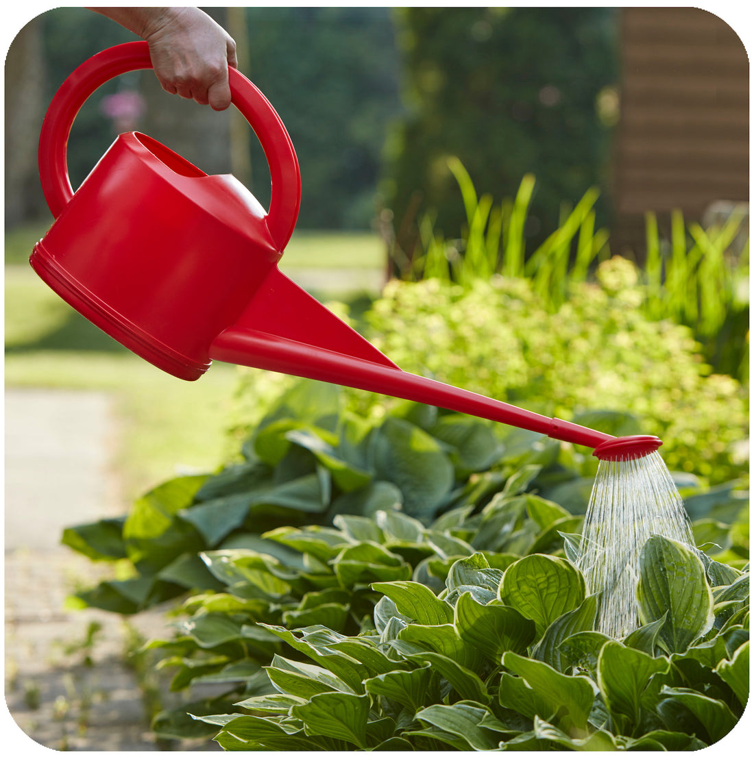 Swiss Made Watering Can 