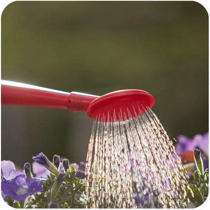 Swiss Made Watering Can 